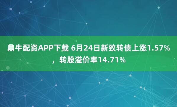 鼎牛配资APP下载 6月24日新致转债上涨1.57%，转股溢价率14.71%